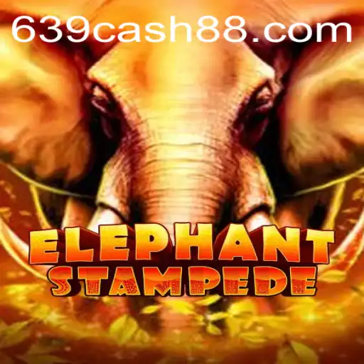 Embark on an Epic Adventure with ElephantStampede